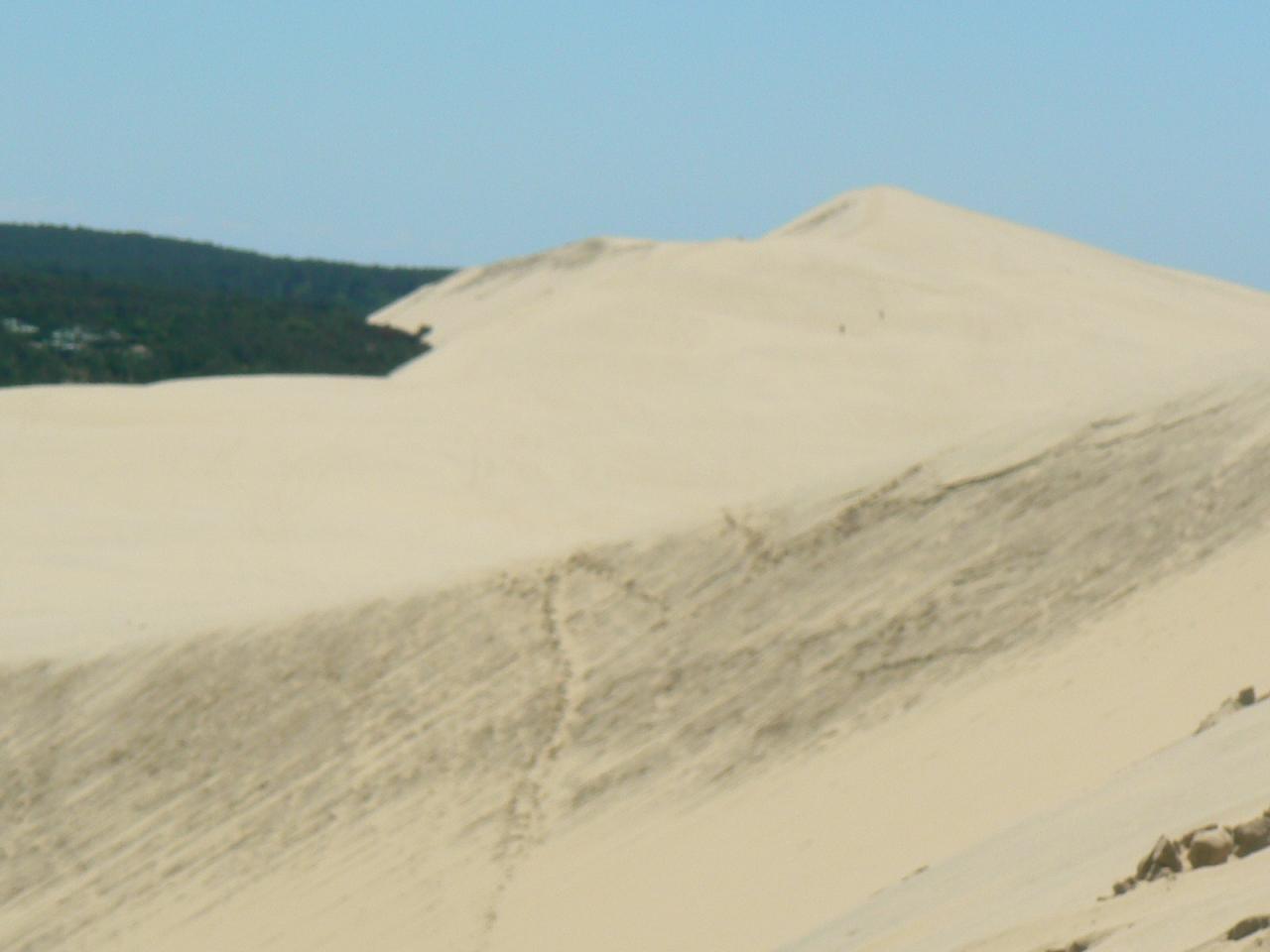 En haut de la dune du Pilat
