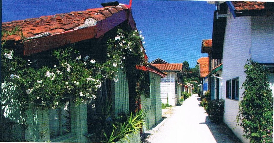 Village de l'Herbe au Cap Ferret
